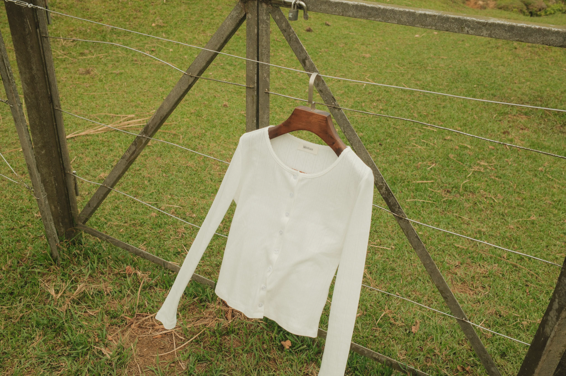 The Cecily Pointelle Cardigan
