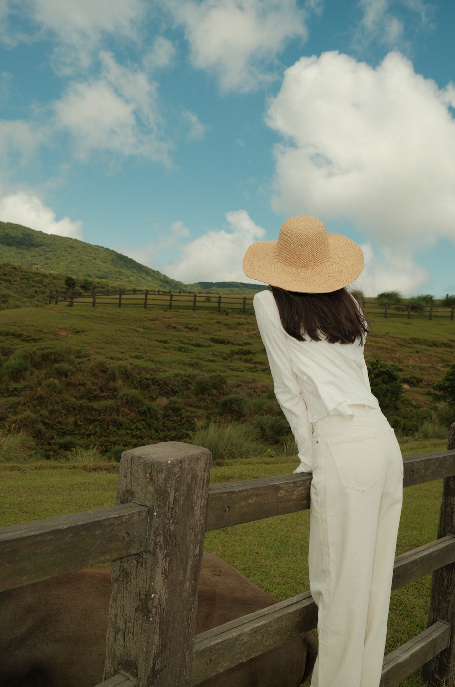 The Cecily Pointelle Cardigan
